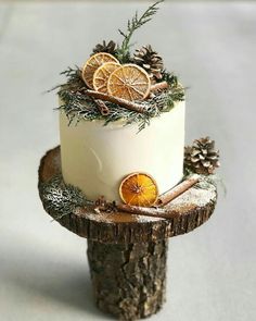 a cake decorated with oranges and pine cones on top of a piece of wood