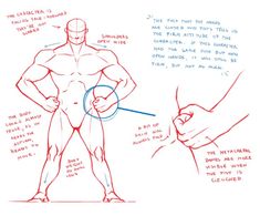 a drawing of a man's body and hands with instructions on how to draw him