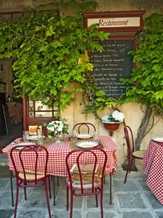 an outdoor dining area with red and white checkered table cloths, green ivy growing on the wall