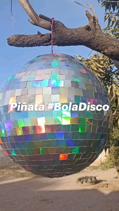 a disco ball hanging from a tree branch with the words pinata bolladisco on it