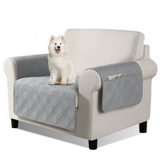 a small white dog sitting on top of a gray and white couch with a quilted cover