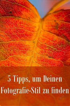 an orange leaf with the words 5 tips umbien fotograie - silt zu finden