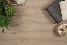 an overhead view of a living room with wood flooring and plants on the table