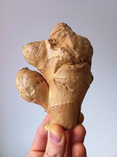 a person holding up a piece of food in their left hand, with the end of it's root exposed