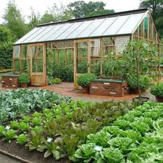 a garden filled with lots of green plants next to a small building in the background