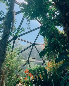 the inside of a glass dome with lots of plants