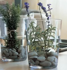 two vases filled with rocks and plants on top of a table