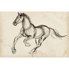 a black and white drawing of a running horse