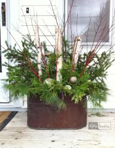 a potted plant sitting on top of a wooden floor