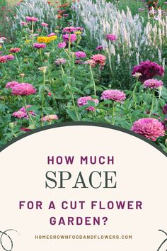 a garden with flowers and the words how much space for a cut flower garden?