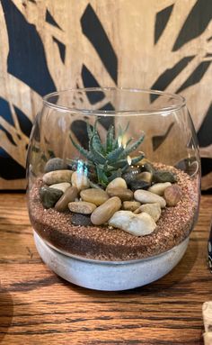 a glass bowl filled with rocks and a succulent