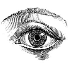 an eye is shown in this black and white drawing