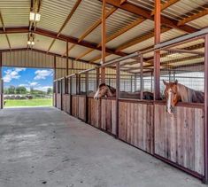 several horses are standing in their stalls at the stables