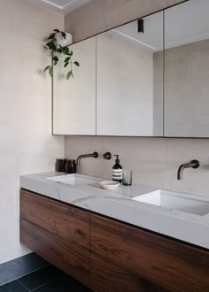 a bathroom with two sinks, mirrors and a plant on the counter top in front of it