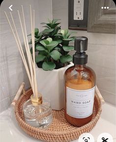 a bottle of hand soap next to a glass container with reeds and a potted plant