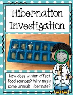 an ice tray with food in it that says, hibernation investigatetion how does winter effect food sources? why might some animals hibernate?