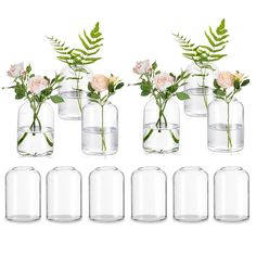 six clear glass vases with flowers and greenery in them on a white background