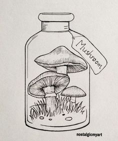 a drawing of mushrooms in a glass bottle with a tag on the label that says mushroom