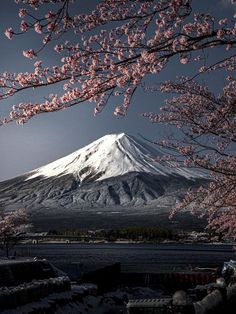 the mountain is covered in snow and cherry blossoms