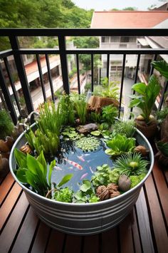 a bowl filled with water and plants on top of a wooden deck