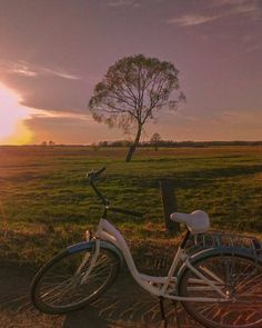 two bikes are parked in the grass near a tree at sunset, with an open field behind them