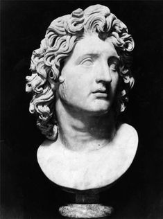 the bust of an ancient man with curly hair