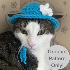 a cat wearing a blue crochet hat with flowers on it's brim