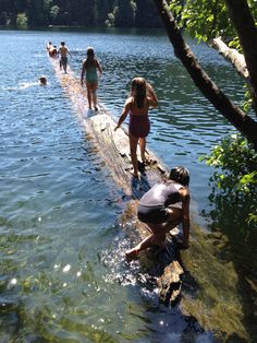 some people are standing in the water and one is trying to get something out of the water