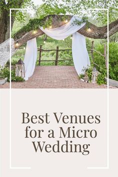 Tree branch decorated with white chiffon, greenery and lanterns for a small wedding ceremony. Elegant Micro Wedding, Microwedding Venue Ideas, Minimony Wedding Ideas, Backyard Wedding Reception Tent, Micro Wedding Decor, Micro Wedding Reception, Micro Wedding Venues, Small Family Wedding, Budget Wedding Venue