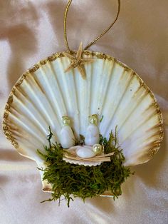 an ornament with shells and seaweed in it