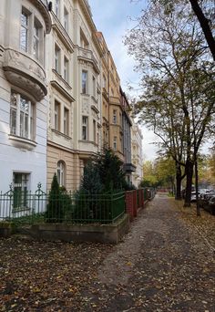 an empty sidewalk in front of some buildings with trees and leaves on the ground next to it