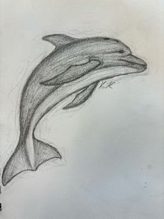 a drawing of a dolphin jumping out of the water