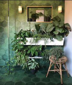 a bathroom with green walls and plants on the counter