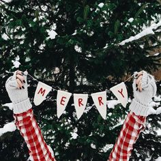 someone holding up a merry banner in front of a snow covered pine tree with the words merry written on it