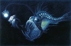 a painting of a fish with a light in its mouth and another fish swimming next to it