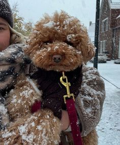 a woman holding a dog in her arms while it is covered with snow on the street