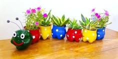 a group of potted plants sitting on top of a wooden table next to each other