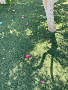 several trees with colored balls in the grass