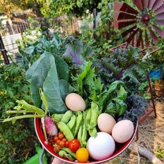 a person holding a red bowl filled with lots of different types of vegetables and eggs