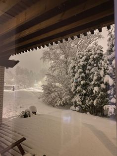 snow covered trees and bushes are seen through the glass door of a house in winter