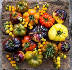 a bunch of different types of tomatoes on a wooden board with yellow and red berries