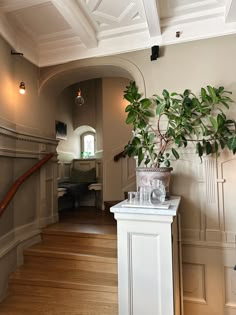 a potted plant sitting on top of a white table next to a stair case