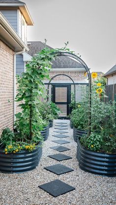 an outdoor garden area with various plants and stepping stones in the graveled path between two buildings