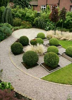 a circular garden with lots of plants in the center and gravel paths leading up to it