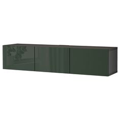 a green cabinet with two doors and some plants