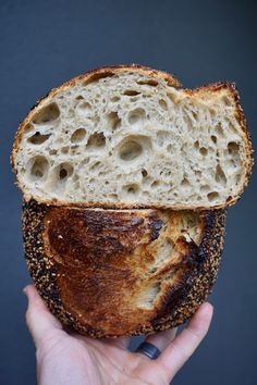 a person holding a piece of bread in their hand