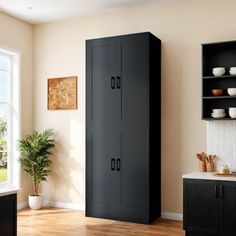 a tall black cabinet sitting in the middle of a room next to a potted plant