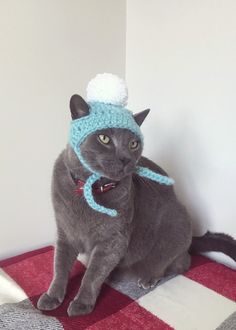 a gray cat wearing a blue knitted hat with pompom sitting on top of a red and white checkered blanket