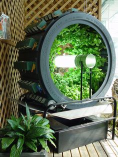 a room that has plants in it and a large mirror on the wall behind it