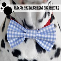 a dalmatian dog wearing a blue bow tie with the words easy diy no sew bows and bow ties